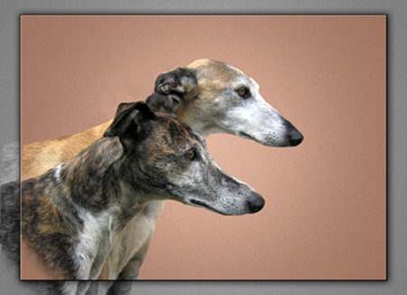 Galgos Caifas and Jandra, together ALWAYS