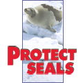 seal-hunt in Canada in march 2006