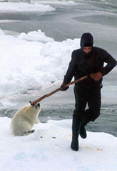 seal protest